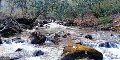 0 Off Cold Springs Rd unit VASH118084, Edinburg, VA 22824 - photo 4