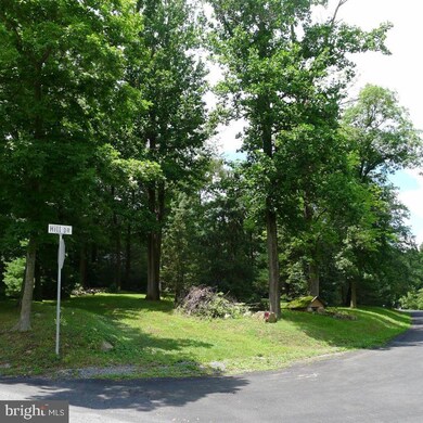 6 Kline Rd, Denver, PA 17517 - photo 6