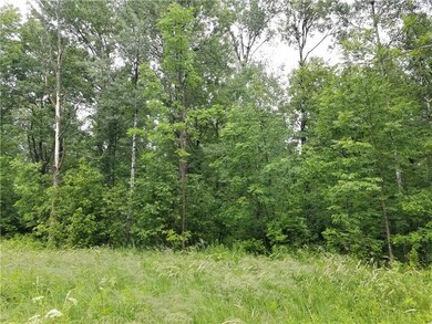 XXX E Lawrence Rd, Glen Flora, WI 54526 - photo 7