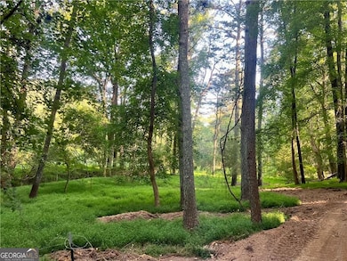 47 ac Jesse Martin Trail, Canton, GA 30115 - photo 4