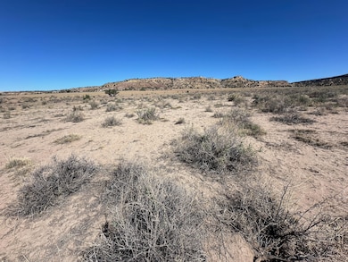 Tbd Longo Ln, Saint Johns, AZ 85936 - photo 5