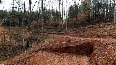 207 Loblolly Pine Dr, Seneca, SC 29678 - photo 5