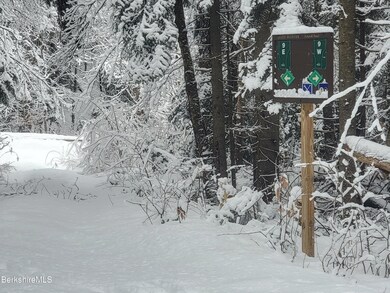 unlisted-address, Readsboro, VT 05350 - photo 5