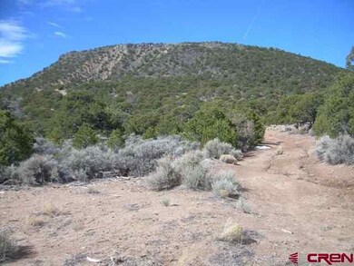 0 Williams Rd unit 656325, Fort  Garland, CO 81133 - photo 7