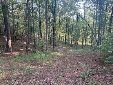 LOT 2 Shoreside at Sipsey, Double Springs, AL 35553 - photo 3