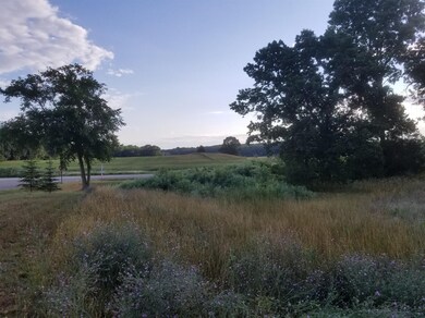 859 Greystone Dr unit 13, Chelsea, MI 48118 - photo 6