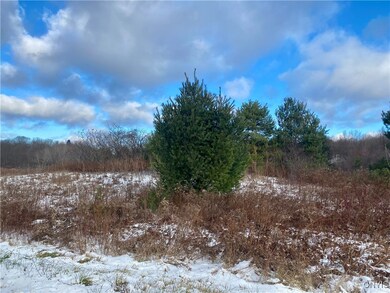 0 County Route 4 unit S1652795, Palermo, NY 13069 - photo 5