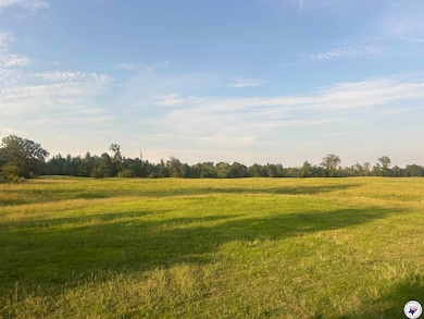 132 Private Road 1108, Fouke, AR 71837 - photo 2