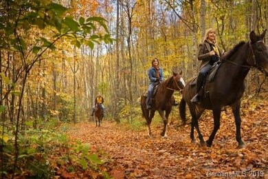Trail rides offered from Equestrian Center at Bals