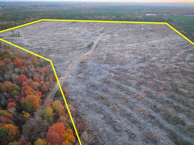 0 Fm 2120 unit 22715325, Bagwell, TX 75412 - photo 3