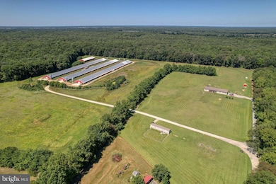 112 Open Meadow Ct, Clayton, DE 19938 - photo 4