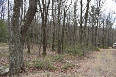 2041 Teaberry Trail, Jim Thorpe, PA 18229 - photo 4