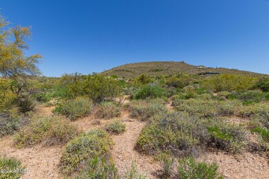 Mountain Views Covey Trail