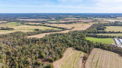 3301 Allegre Rd, Elkton, KY 42220 - photo 5