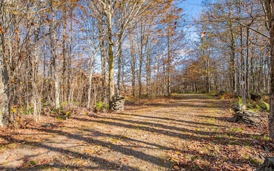 115 Glory Ridge Rd, Shunk, PA 17768 - photo 2