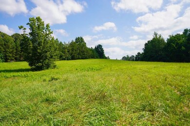 1560 Meansville Rd, Union, SC 29379 - photo 2