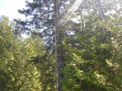 tree stand