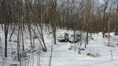 47933 Swing-A-way, Milaca, MN 56353 - photo 2