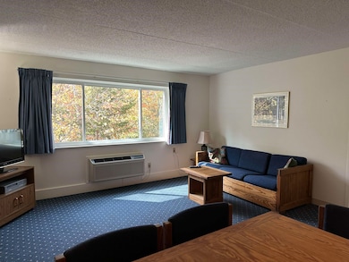 23 Black Bear Rd unit 305, Waterville Valley, NH 03215 - photo 3