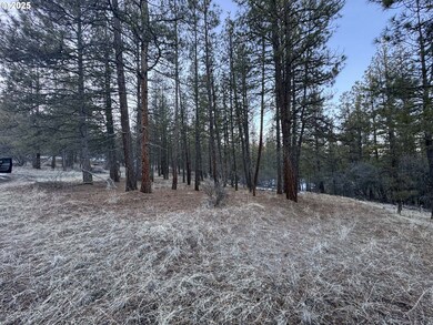 0 Bobcat Cir unit Lot 7 468719120, Beatty, OR 97621 - photo 6