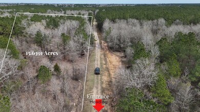 0 County Line Rd unit 15374642, Shepherd, TX 77371 - photo 3