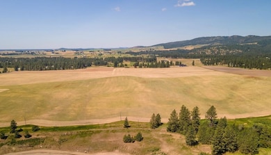 13507 E Gibbs Rd, Valleyford, WA 99023 - photo 6