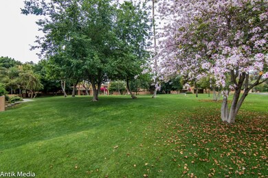 Beautiful Grounds