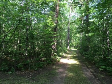 Gate to cabin