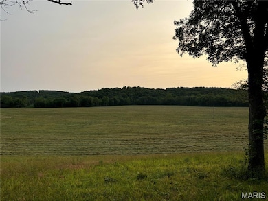 000 Wayne Route D, Greenville, MO 63944 - photo 2