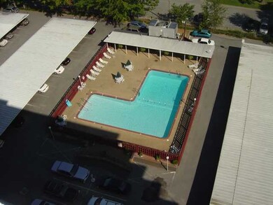 Olympic size pool for your summer enjoyment.  One 