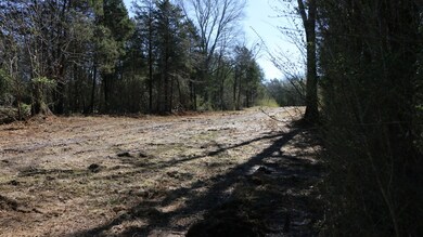 3480 Verona Caney Rd, Lewisburg, TN 37091 - photo 6