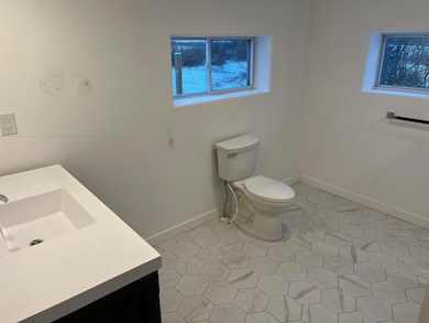 2233 E Marrison Rd, Custer, MI 49405 - photo 6