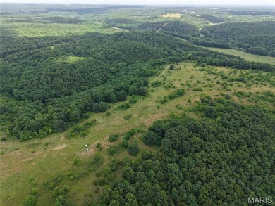 0 Creek Rd unit MAR24062770, Dixon, MO 65459 - photo 3
