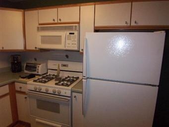 1680 Autumn Ave unit A, Schaumburg, IL 60193 - photo 7