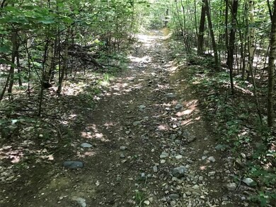 0 Orchard Rd, Acton, ME 04001 - photo 4