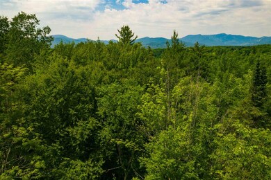 TBD Lang Farm Rd, Stowe, VT 05672 - photo 4