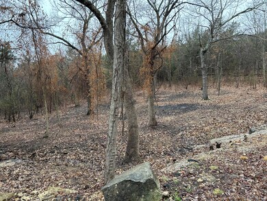 Lot 15 N Wilderness Trail, Kimberling City, MO 65686 - photo 4