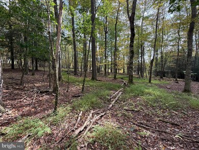 0 Lake Shore Dr unit MDGA2010464, Oakland, MD 21550 - photo 7