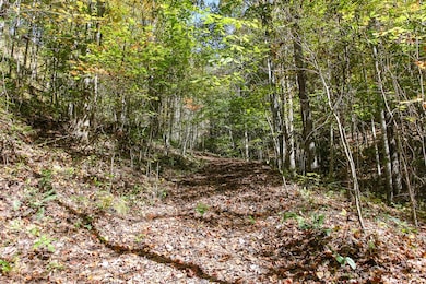 Lot 43 Falls View Rd, Bryson City, NC 28713 - photo 3