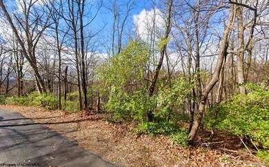 TBD Keyser Ave, Morgantown, WV 26505 - photo 5