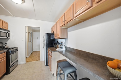 The Quincy unit 6-V, Mount Vernon, NY 10550 - photo 7