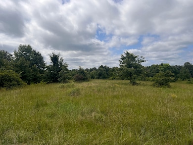 Rd, Watson, OK 74957 - photo 4