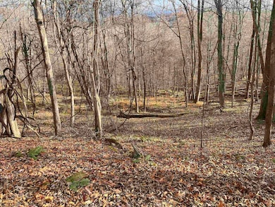 000 Crawford Rd, Crawford, WV 26343 - photo 2