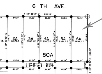 Enlarged Plat