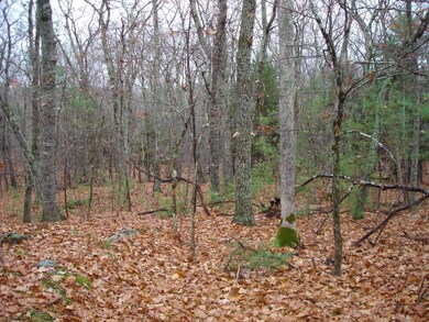 11 Buzzell Rd, Dayton, ME 04005 - photo 5