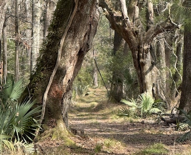 0 Dressen Rd unit 22893184, Hardeeville, SC 29927 - photo 2