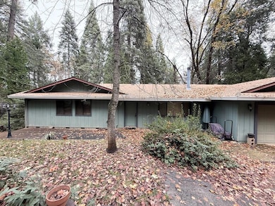 4585 Wandering Way, Camino, CA 95709 - photo 3