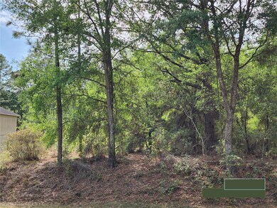 0 SW 199th Ct, Dunnellon, FL 34431 - photo 4