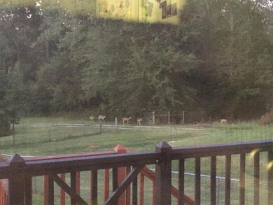 Deer are in the yard regularly makes country living at its best
