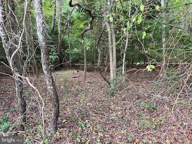 162-164 Powell Rd, Dennis, NJ 08270 - photo 4